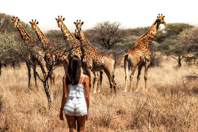 Aquila Game Reserve Safari with wine tasting, Transport & Lunch - Who will enjoy this experience most