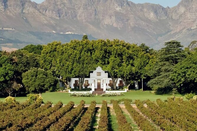 Aquila Game Reserve Safari with wine tasting, Transport & Lunch - Booking, cancellation, and practical details