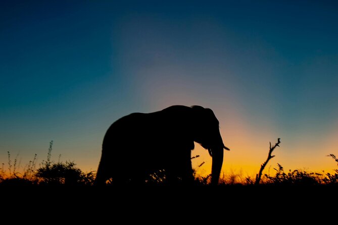 Aquila Game Reserve Sunset Safari - Why the Sunset Drive Is the Main Event