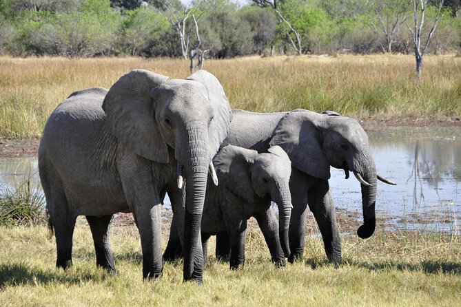 Aquila Game Reserve Sunset Safari - Who Will Like This Five-Hour Safari