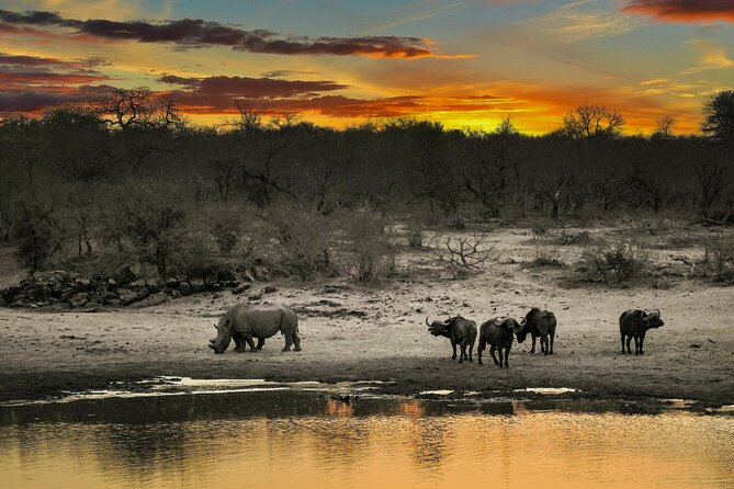 Aquila Game Reserve Sunset Safari - Booking, Timing, and Cancellation Details