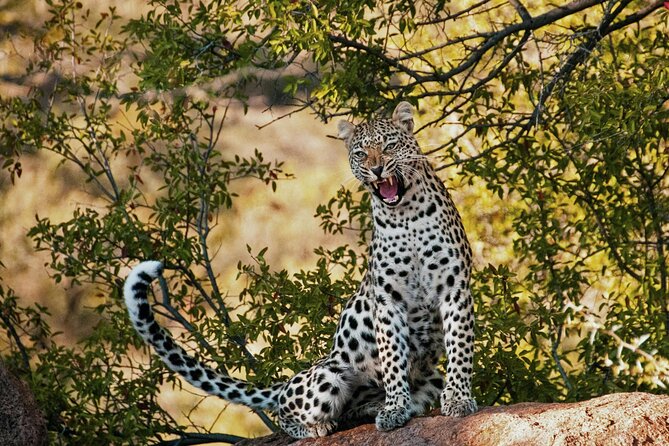 Aquila Game Reserve Sunset Safari - Worcester and the Breede River Valley