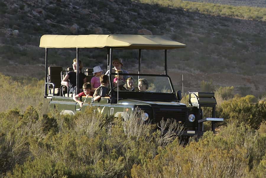 Aquila Reserve: Private Day Tour with Shared Game Drive - Welcome drink and breakfast at Aquila