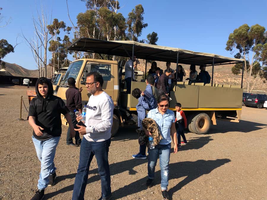 Aquila Reserve: Private Day Tour with Shared Game Drive - Paarl wine tasting on the return trip