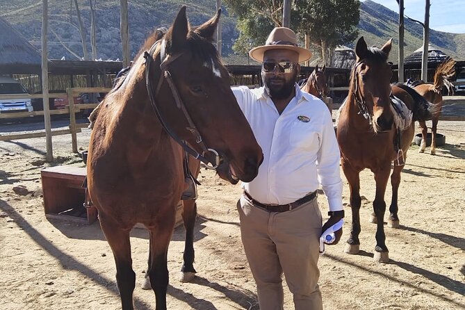 Aquila Reserve Safari with Lunch and Wine Tasting - What the 2 to 3 hour safari is like