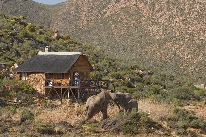 Aquila Safari Game Drive, Lunch & Shared Transfers from Cape Town - Arriving at Aquila Private Game Reserve
