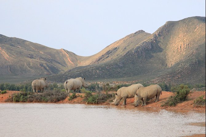 Aquilla BIG5 private Safari Cape Town - What makes the reserve different