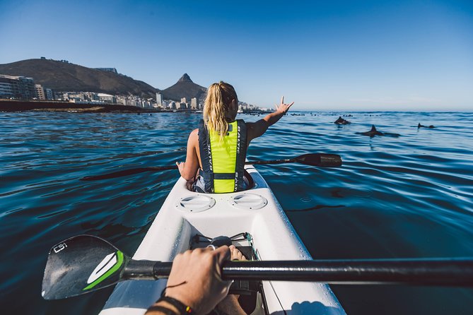 Atlantic Outlook Kayak Tour Cape Town - Paddling through the Table Mountain marine reserve
