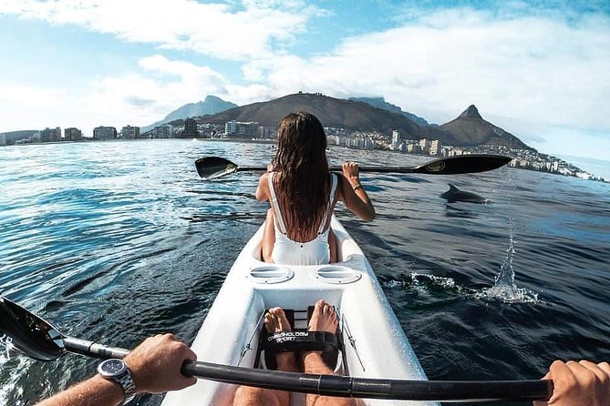 Atlantic Outlook Kayak Tour Cape Town - The wildlife question: what might you see?