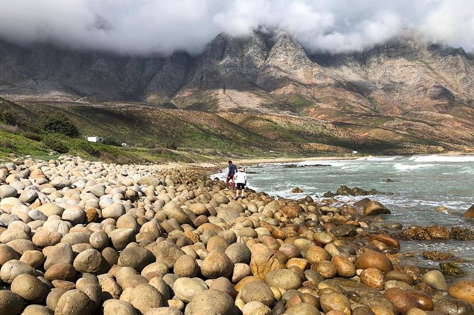 Authentic Cape Town Tour - Food, beaches, and the city’s everyday pleasures