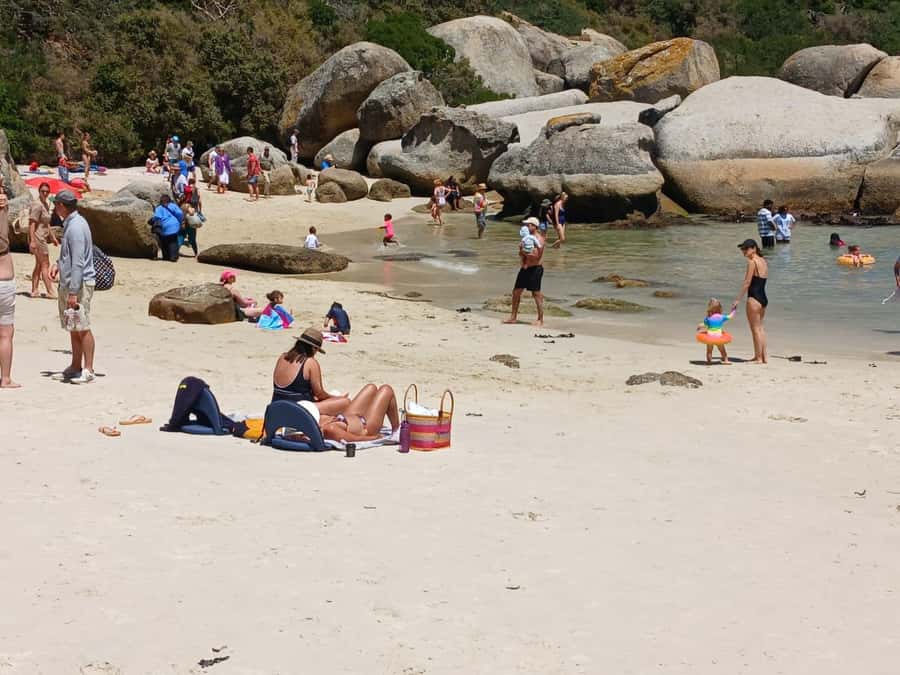 Beach Day at Boulder's Beach & Penguin watching, Half Day - A penguin day with Cape Town’s best coastal roads