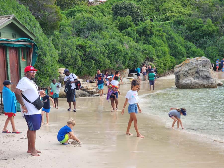 Beach Day at Boulder's Beach & Penguin watching, Half Day - Should you book it?