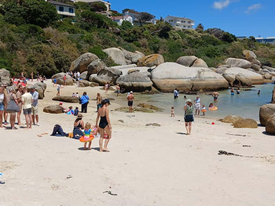 Beach Day at Boulder's Beach & Penguin watching, Half Day - Boulders Beach and the African penguin colony
