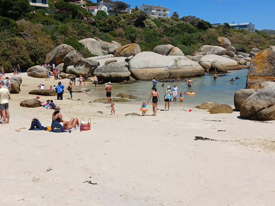 Beach Day at Boulder's Beach & Penguin watching, Half Day - Muizenberg’s colorful beach huts