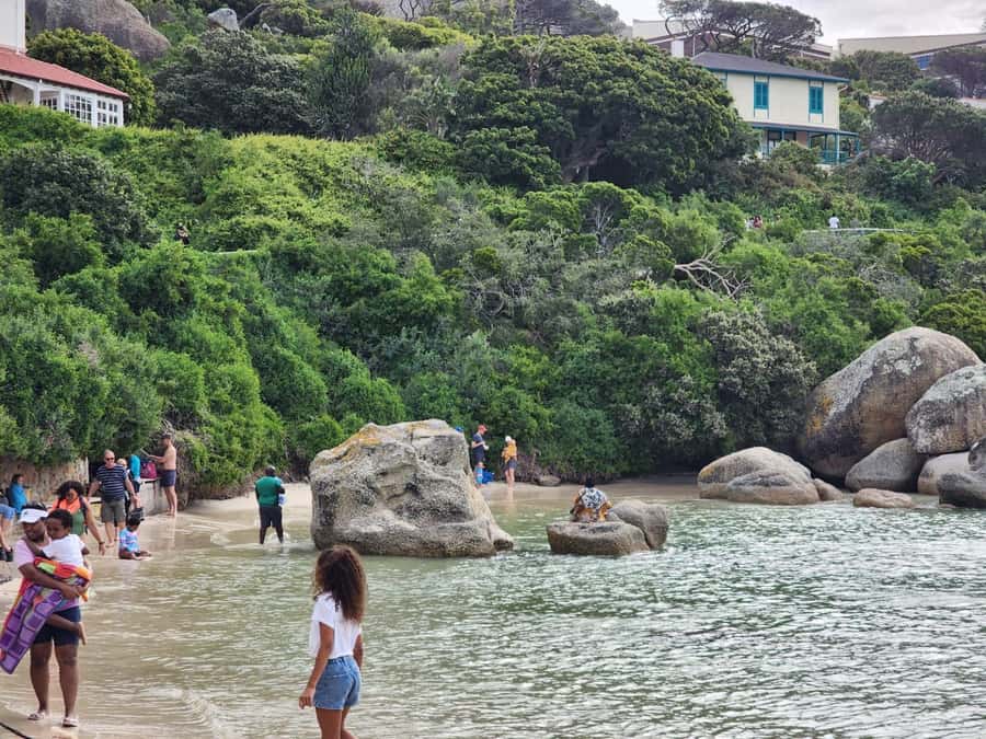Beach Day at Boulder's Beach & Penguin watching, Half Day - Who should book this half-day outing