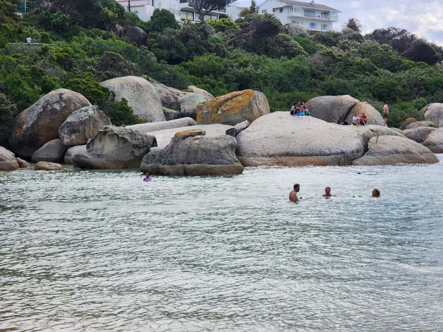 Beach Day at Boulder's Beach & Penguin watching, Half Day - Simple ways to make the morning better