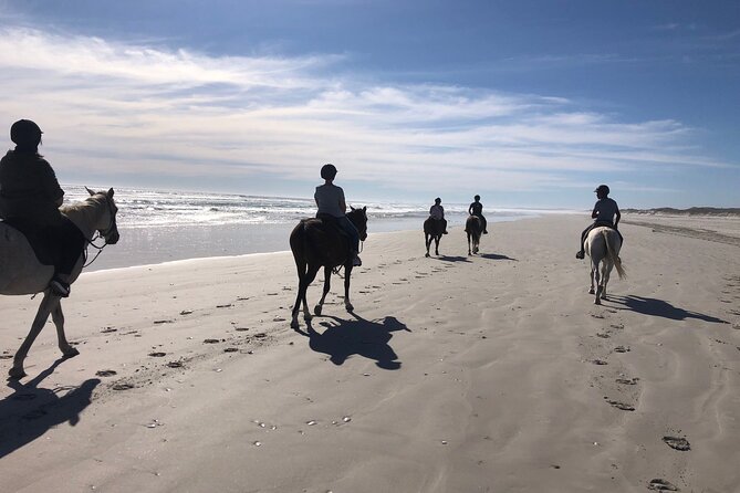 Beach Horse Ride in Yzerfontein, Western Cape - Why the Yzerfontein beach ride feels different
