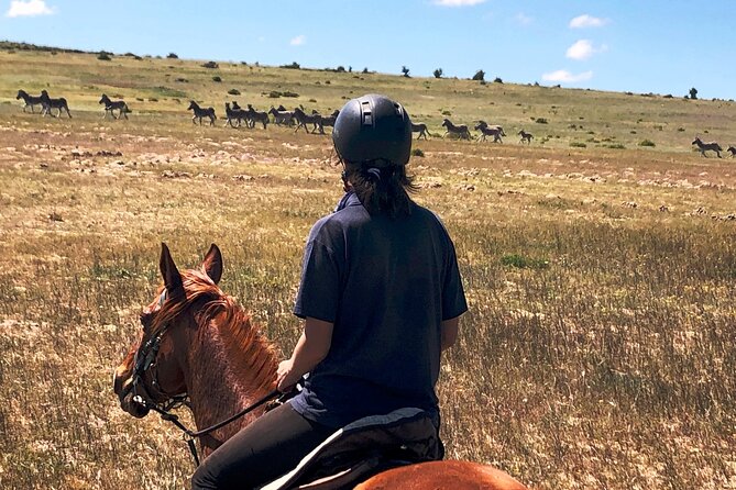 Beach Horse Ride in Yzerfontein, Western Cape - What you actually get for $37.50