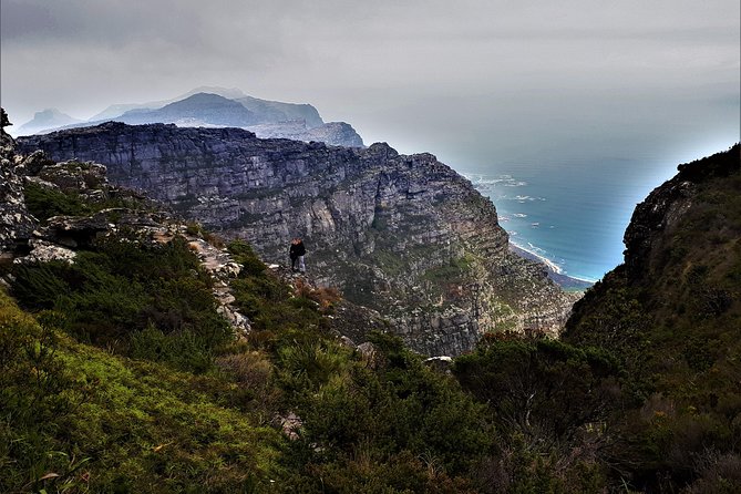 Beautiful Table Mountain Hike - Morning or late afternoon: choosing your departure