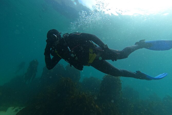 Beginner Scuba Diving Experience in Simonstown. - The shallow-water skills are the key preparation