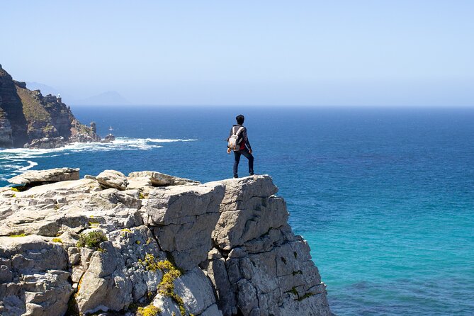 Best of Cape Town Cape Point and Wineries Combined Private Tour - The Cape of Good Hope photo stop
