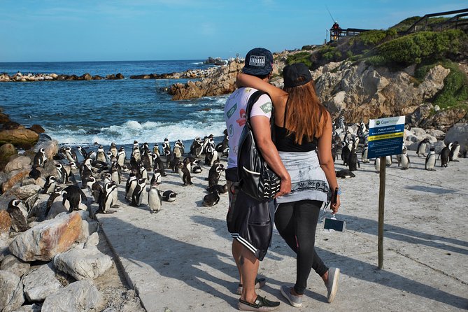 Best of Cape Town Full-Day Private Tour with Table Mountain - Chapman’s Peak supplies the big road view