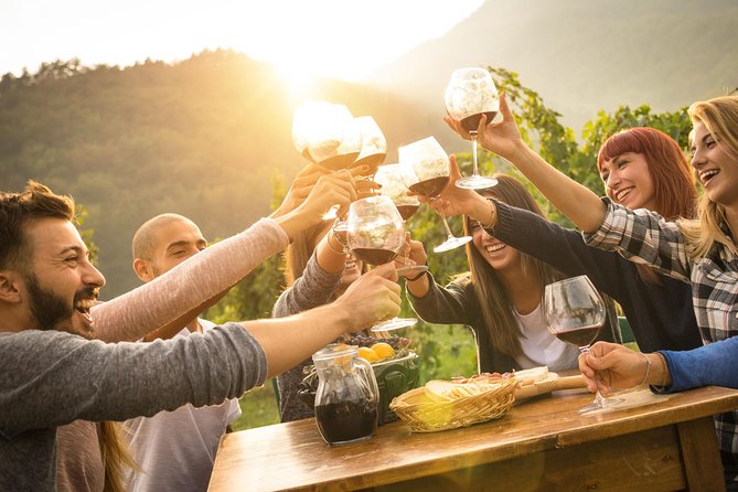 Best of Cape Town Full-Day Private Tour with Table Mountain - Cape Point Vineyards brings wine into the peninsula day