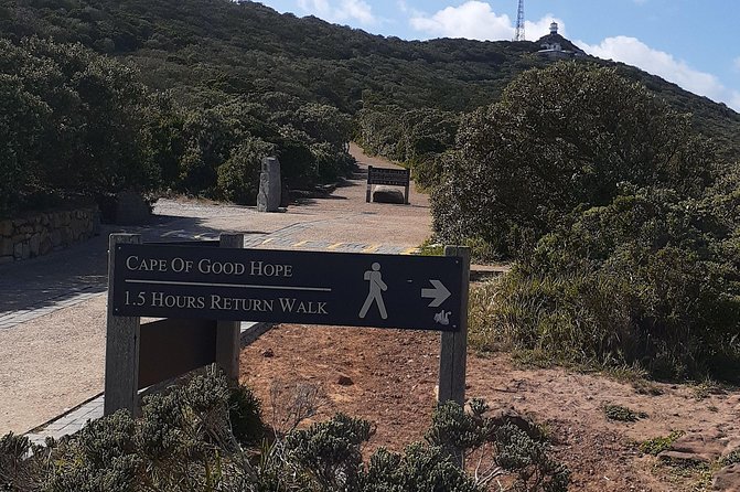 Best Of The Cape 8 Hour Private Tour - Simon’s Town, lunch, and African penguins