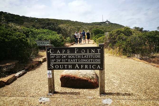 Best of the Cape Full Day Private Tour - Cape Point and the old lighthouse