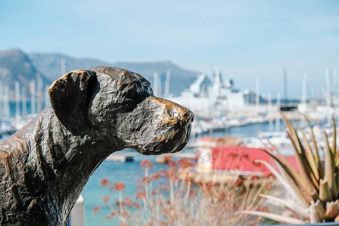 Best of the Cape Peninsula Private Tour - Two hours in the Cape of Good Hope section