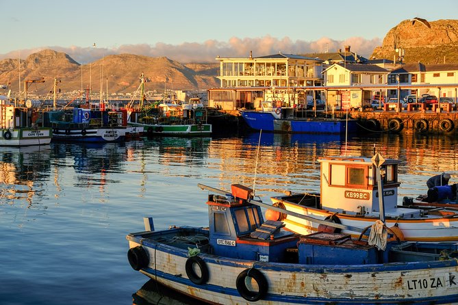 Best of the Cape Peninsula Private Tour - What the local approach adds