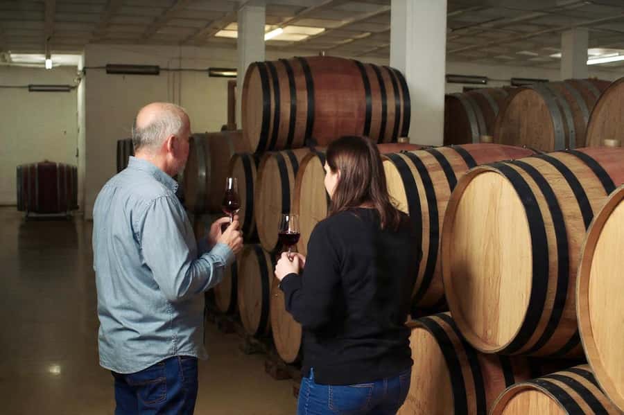 Best of the Cape Peninsula & Wine Route with Wine Tasting - Cape Point and the Cape of Good Hope