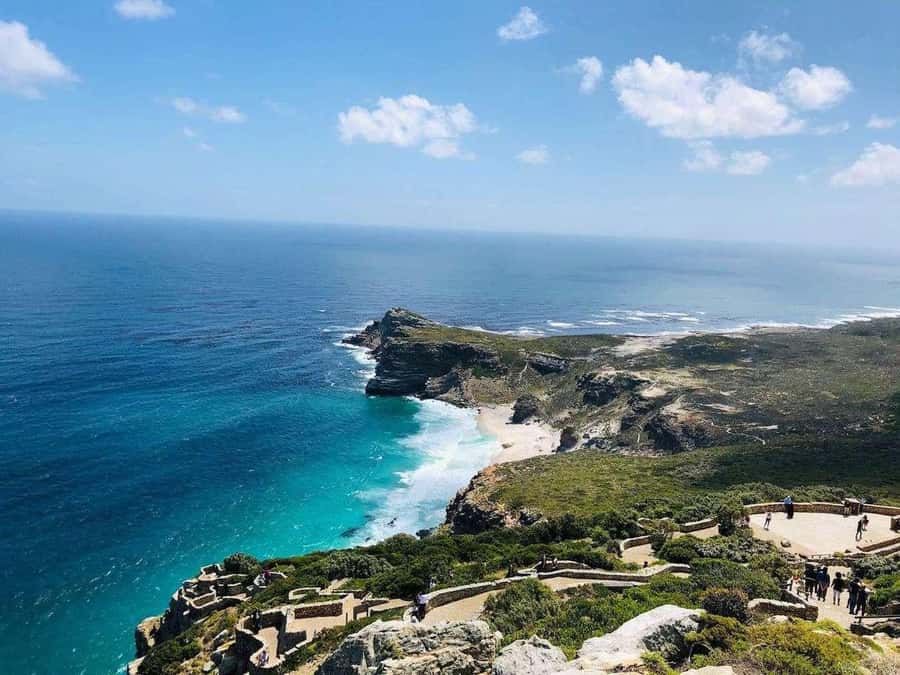 Best of the Cape Peninsula & Wine Route with Wine Tasting - Zevenwacht Wine Estate: tasting, cellar, and cheese