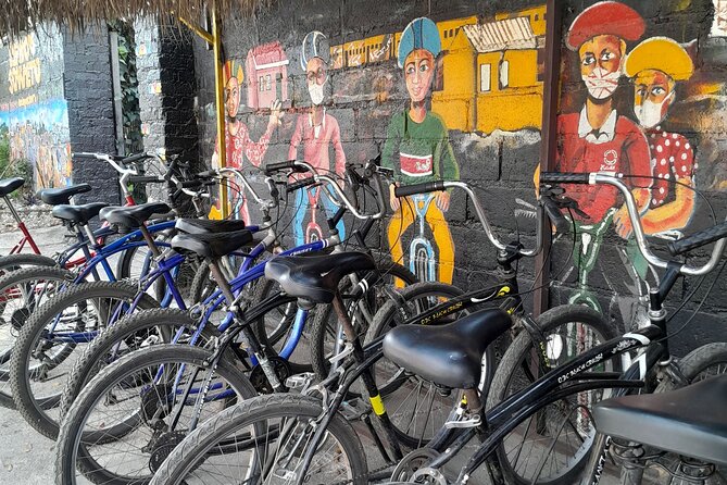 Bicycle or Tuk Tuk Soweto Guided Experience - Vilakazi Street, music, and handmade goods