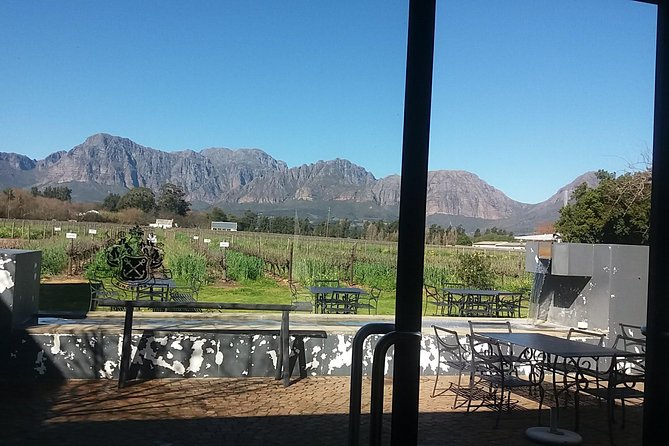Big 5 Full Day Safari Aquila Lunch plus Breakfast From Cape Town - Which animals might you see?
