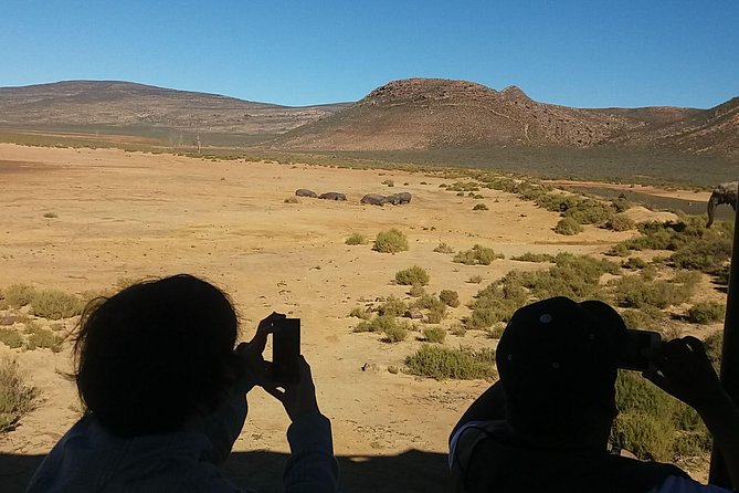 Big 5 Full Day Safari Aquila Lunch plus Breakfast From Cape Town - From Cape Town to Paarl Rock
