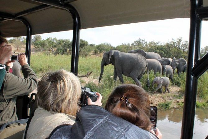BIG 5 Kruger 3 Days Safari from Johannesburg - Key details before you book