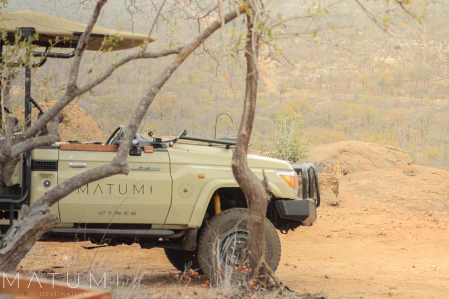 Big 5 Safari Am or Pm - Searching Kruger for the Big Five