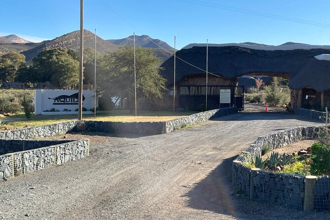 Big 5 Safari Aquila Full Day Private Return From Cape Town - Adding wine tasting on the return