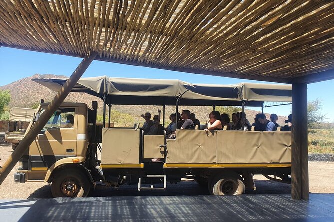 Big 5 Safari Aquila Full Day Private Return From Cape Town - The reserve versus a true wilderness safari