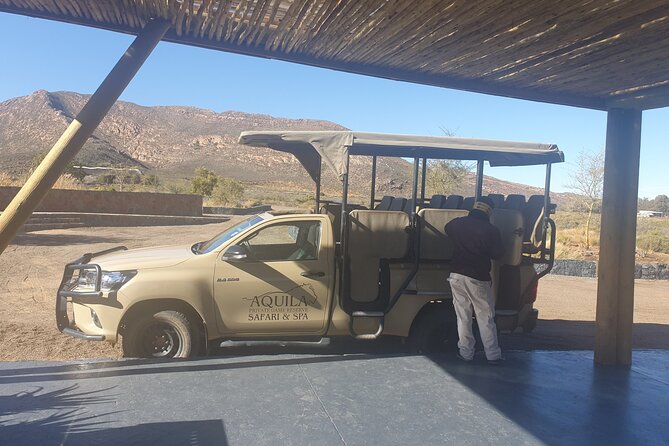 Big 5 Safari Aquila Full Day Private Return From Cape Town - Who should book this Aquila day trip