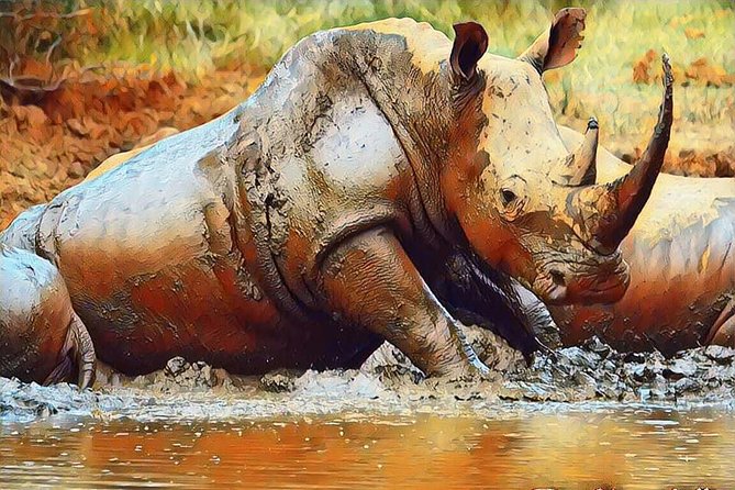 Big 5 Safari Experience at Pilanesberg National Park - A three-course buffet lunch breaks up the safari
