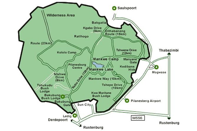 Big 5 Safari Experience at Pilanesberg National Park - Group size, guide style, and the feel of the experience