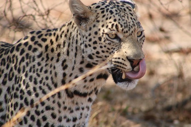 Big 5 Safari Experience at Pilanesberg National Park - The cancellation issue you should understand