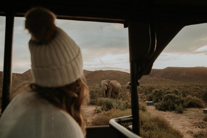 Big 5 Safari One Day Tour - What the Big Five experience is really like