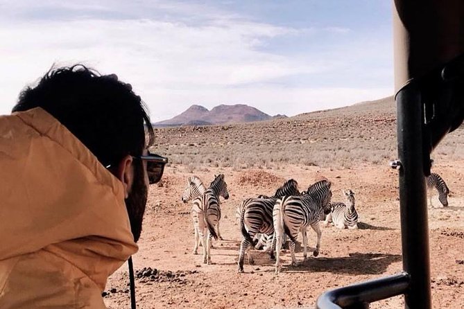 Big 5 Safari One Day Tour - How the guide can shape the experience