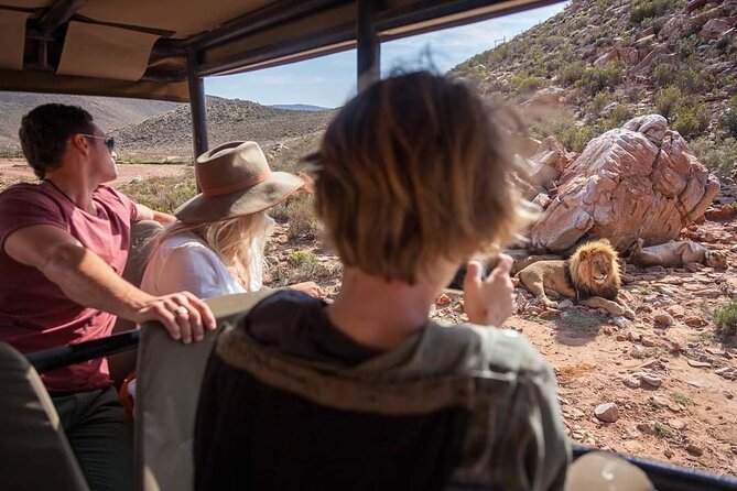 Big Five Safari Experience Near Cape Town ,South Africa - Timing, cancellation, and small details that matter