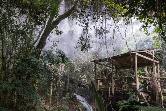 Birds of Eden Admission Ticket - Going with a guide or exploring alone