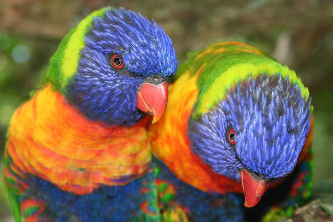 Birds of Eden Admission Ticket - Practical limits for photographs and families