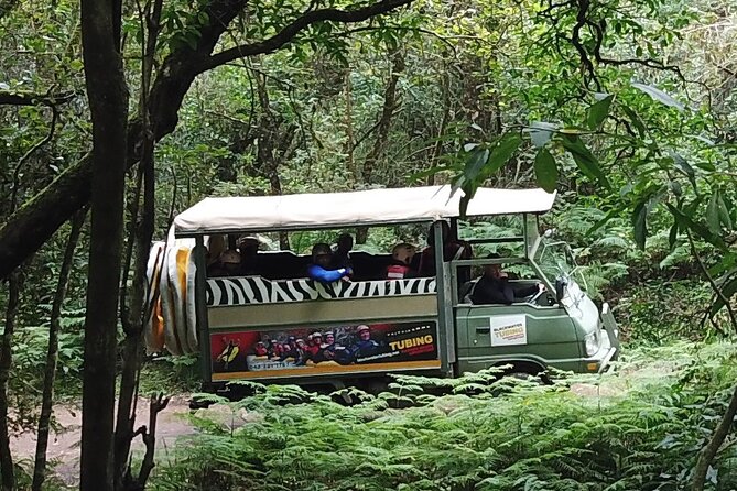 Blackwater Tubing Green Route Forest Adventure - Stand-up paddleboarding in a quiet river setting